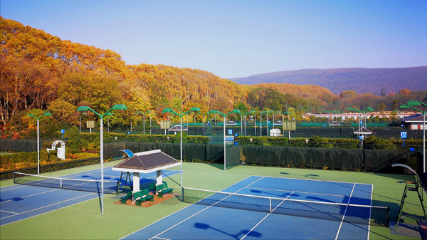 南京体育学院怎么样?南京体育学院有没有硕士点?插图5 南京体育学院怎么样?南京体育学院有没有硕士点?插图5