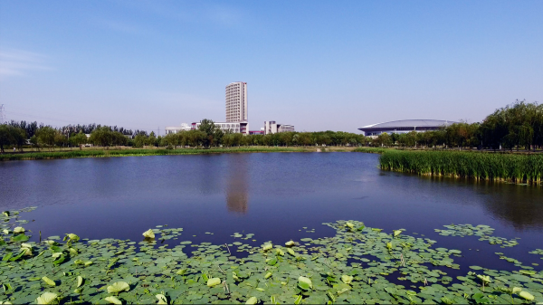 天津商业大学怎么样?天津商业大学中外合作办学有哪些专业?插图4 天津商业大学怎么样?天津商业大学中外合作办学有哪些专业?插图4
