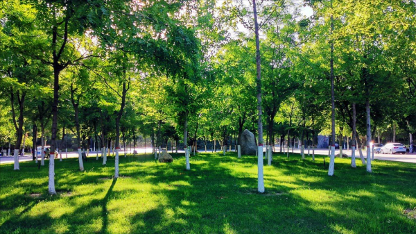 河北师范大学怎么样?河北师范大学是双一流吗?插图7 河北师范大学怎么样?河北师范大学是双一流吗?插图7