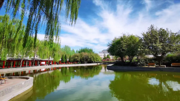 保定学院怎么样?保定学院有公费师范生专业吗?插图3 保定学院怎么样?保定学院有公费师范生专业吗?插图3