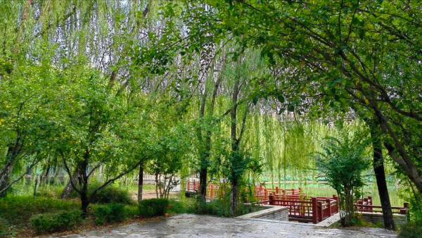 河北师范大学怎么样?河北师范大学是双一流吗?插图6 河北师范大学怎么样?河北师范大学是双一流吗?插图6