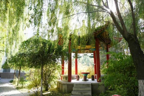 绥化学院简介插图1 绥化学院简介插图1