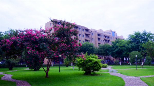 河北地质大学怎么样?河北地质大学王牌专业有哪些?插图7 河北地质大学怎么样?河北地质大学王牌专业有哪些?插图7