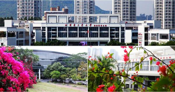 哈尔滨工业大学(深圳)简介插图2 哈尔滨工业大学(深圳)简介插图2