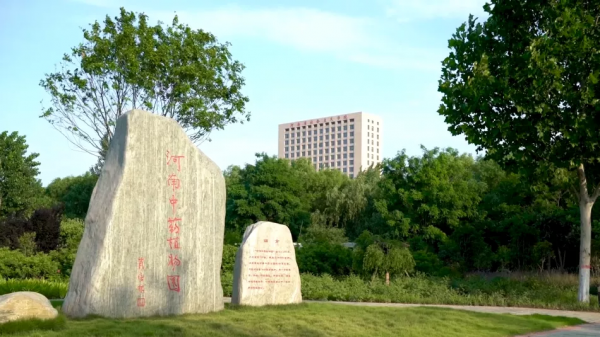 河南中医药大学怎么样?河南中医药大学有没有专升本?插图7 河南中医药大学怎么样?河南中医药大学有没有专升本?插图7