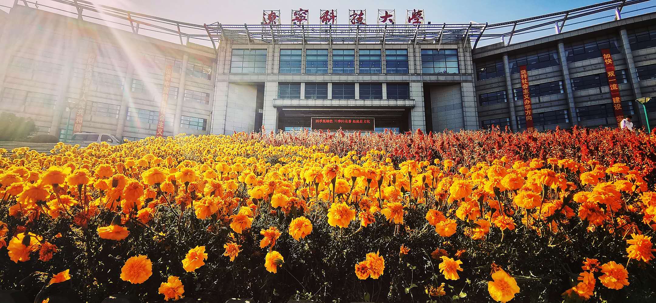 辽宁科技大学有哪些专业?辽宁科技大学国家级,省级特色专业介绍2024插图1 辽宁科技大学有哪些专业?辽宁科技大学国家级,省级特色专业介绍2024插图1