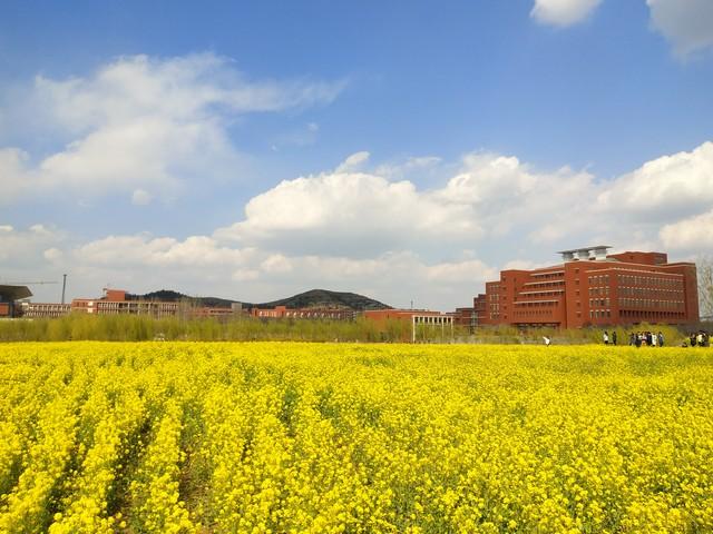 云南农业大学有哪些专业?云南农业大学国家级,省级特色专业介绍2024插图1 云南农业大学有哪些专业?云南农业大学国家级,省级特色专业介绍2024插图1