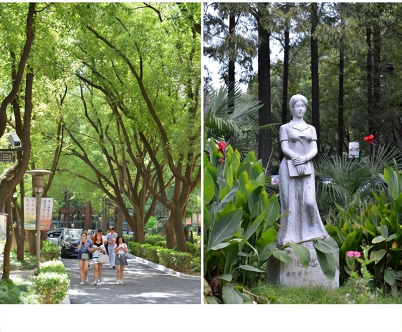 上海科学技术职业学院简介插图4