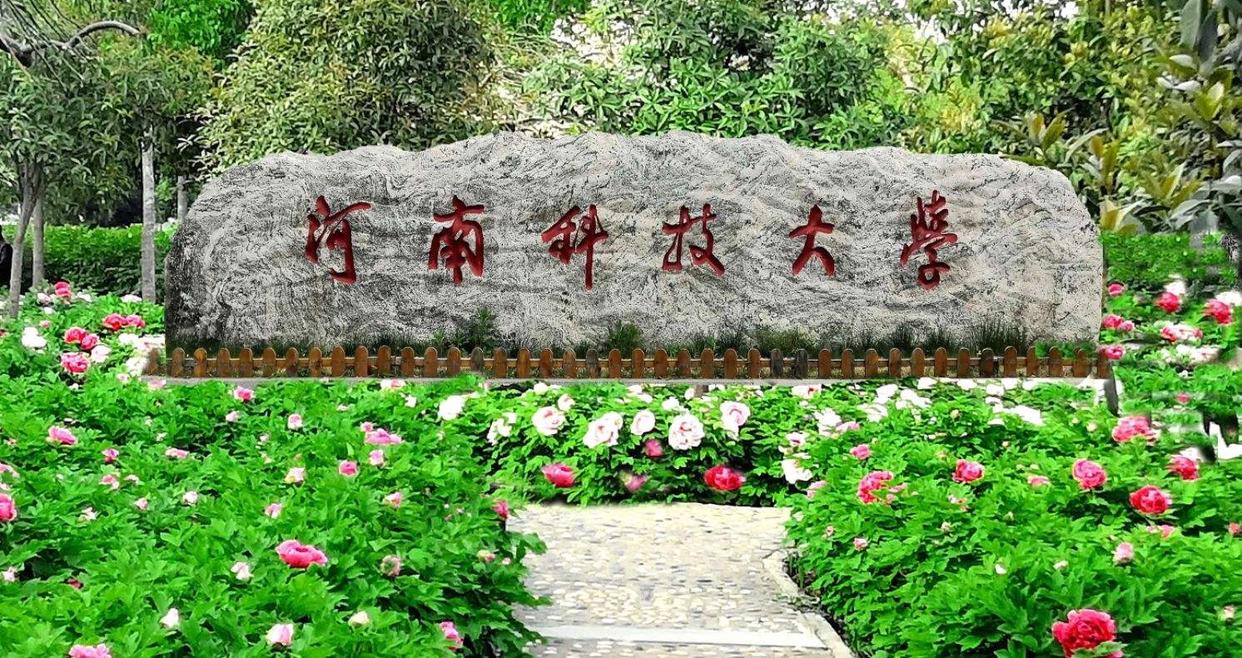 2024年这21所河南高校新增硕士点：中原工学院上榜，南阳师范学院成赢家插图1