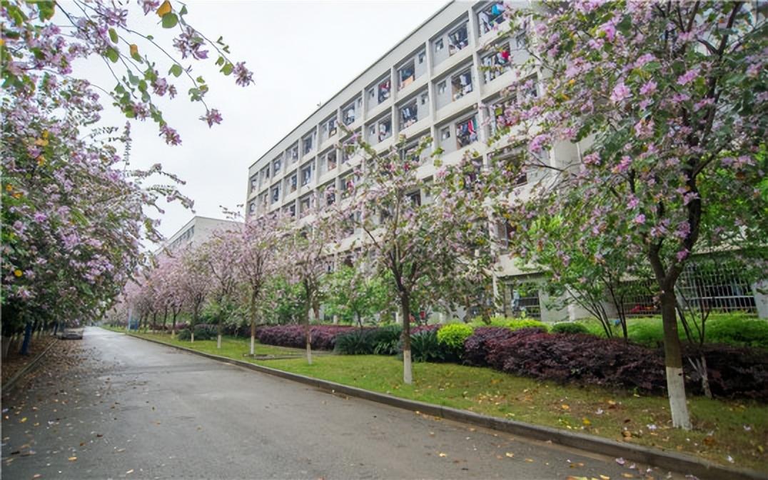 柳州铁道职业技术学院简介插图8 柳州铁道职业技术学院简介插图8