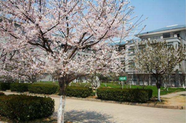 湖北中医药大学 湖北中医药大学