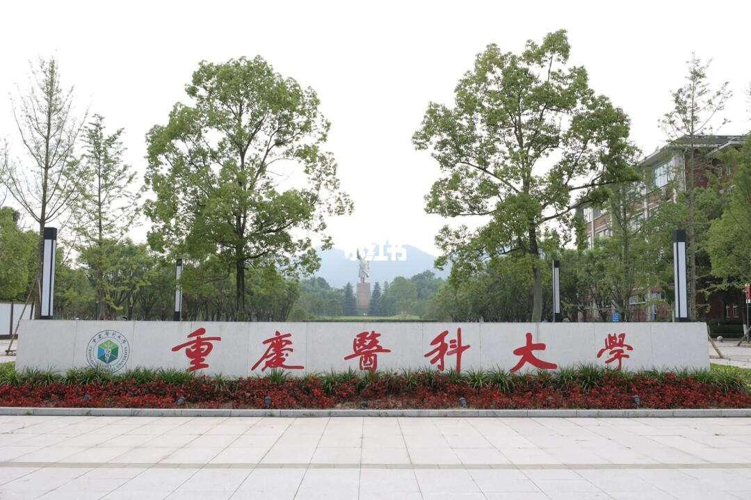 土木工程专业2024年大学排名:279所大学上榜,重庆大学排第5名插图3 土木工程专业2024年大学排名:279所大学上榜,重庆大学排第5名插图3