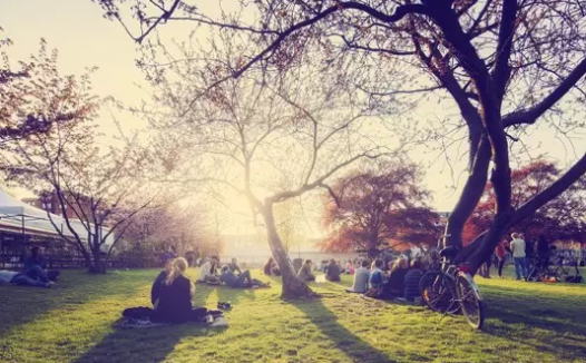 「荷兰留学」赴荷兰留学指南(申请步骤、申请技巧、注意事项、办理签证、费用情况)