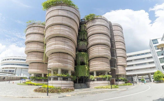 「出国留学经验教训」2023年雅思6分能去哪些学校?(QS前100热门学校等你来)