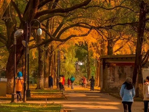 中国十大最美大学（堪比5A级景区）