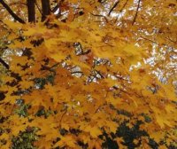 出国养老该注意什么？（退休计划和养老金该怎么安排？）