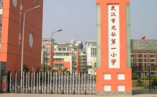 武汉小学排名2023最新排名(武汉市十大小学排行榜)