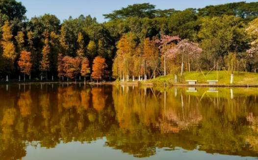 广东工业大学是985/211吗?为何会被美国制裁?