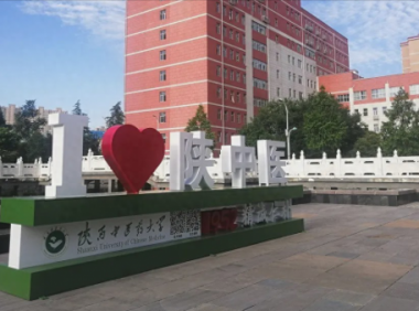 陕西中医药大学怎么样好不好?陕西中医药大学重点学科有哪些?