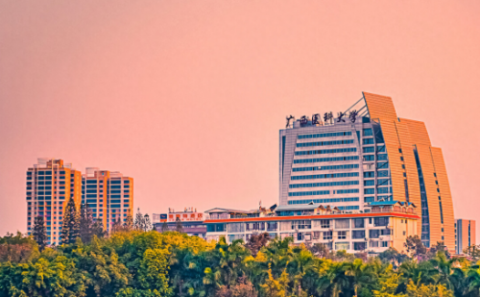 广西医科大学专科在哪个校区?开设的专业有哪些?