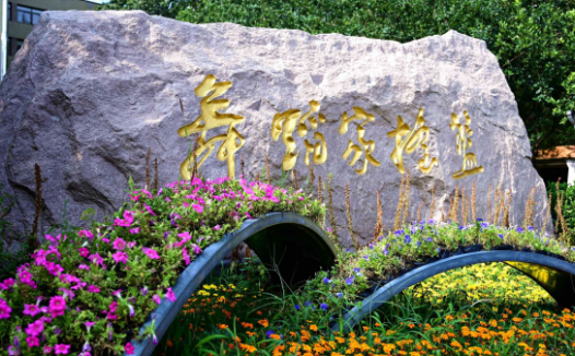 北京舞蹈学院怎么样？北京舞蹈学院是985还是211？