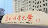 黑龙江省公办本科大学2023年理科投档线与2022年对比