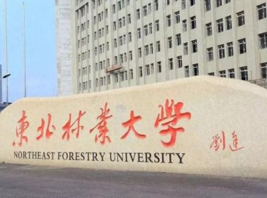 黑龙江省公办本科大学2023年理科投档线与2022年对比