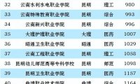 云南高职院校排名2023(大专):昆明冶金高等专科学校第一