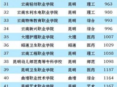 云南高职院校排名2023(大专):昆明冶金高等专科学校第一
