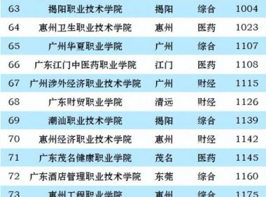 广东高职院校排名2023(大专)：广东轻工职业技术学院第一
