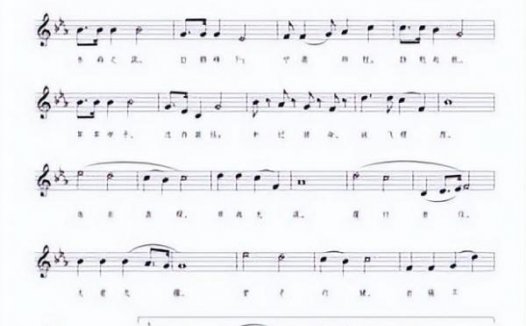 宁德师范学院简介